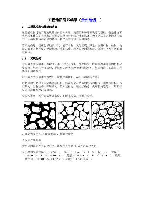 工程地质岩芯编录
