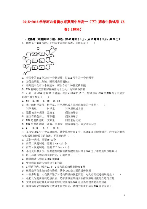 河北省衡水市冀州中学高一生物下学期期末试卷(b卷)理(含解析)
