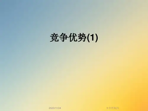 竞争优势(1)