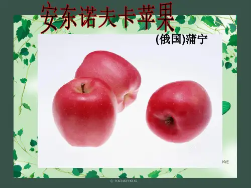 高中语文《安东诺夫卡苹果》课件 新人教版选修
