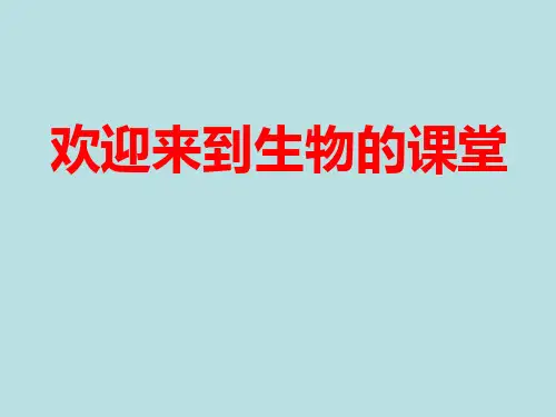 北师大版七年级上册生物课件 3.6.1 种子萌发形成幼苗  (共21张PPT)
