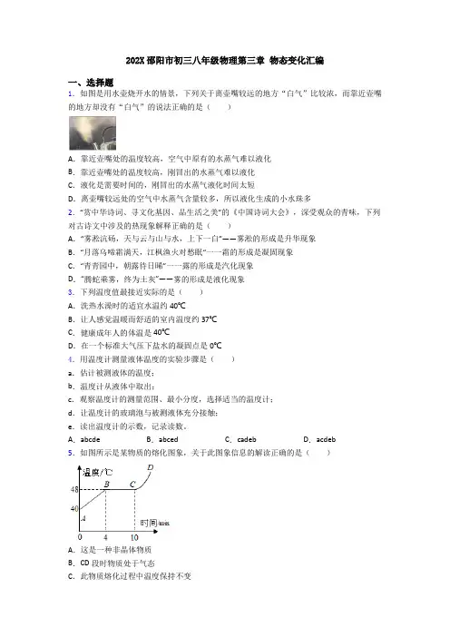 202X邵阳市初三八年级物理第三章 物态变化汇编