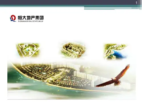 行业分析：恒大地产集团ppt课件