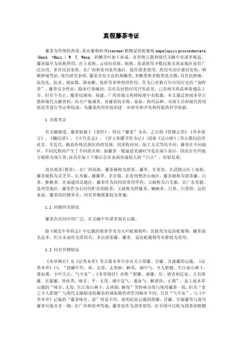 真假藤茶考证