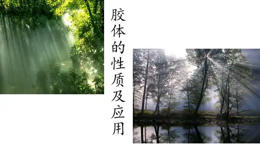 人教化学必修1第二章第1节物质的分类