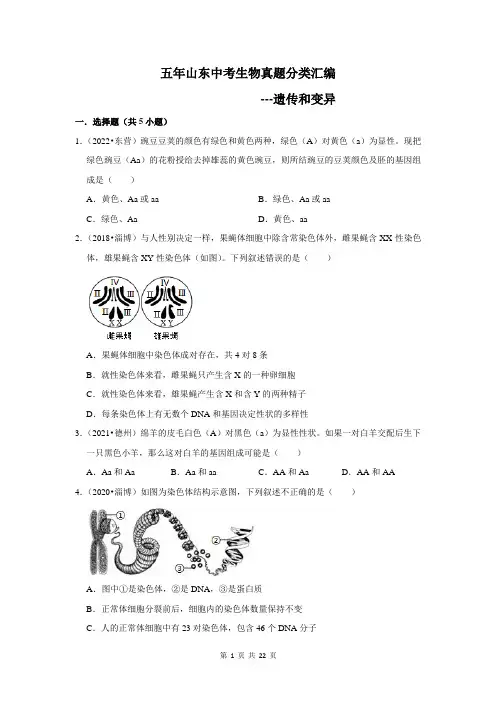 五年山东中考生物真题分类汇编---遗传和变异