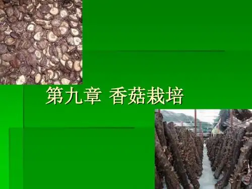 第九章 香菇栽培