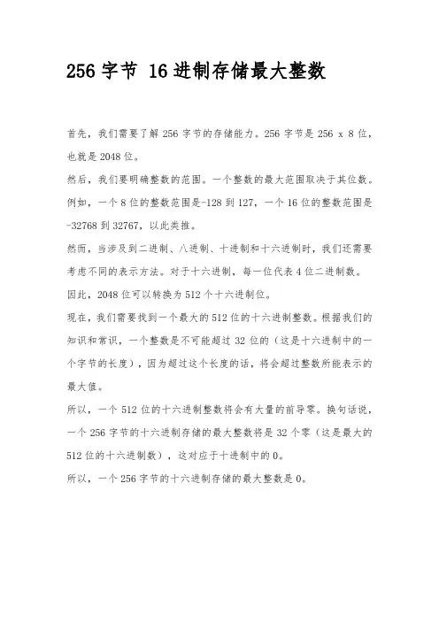 256字节 16进制存储最大整数