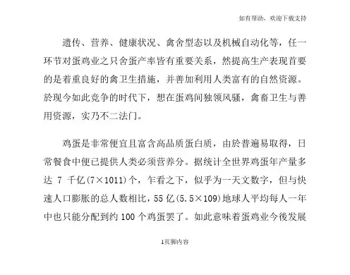 蛋鸡如何生产更多的蛋