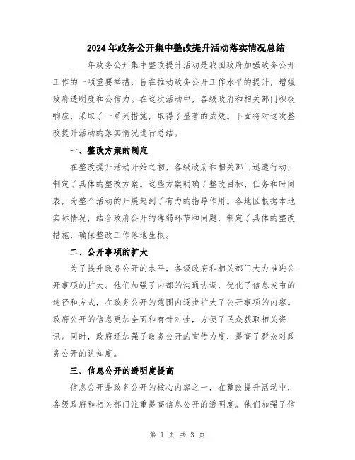 2024年政务公开集中整改提升活动落实情况总结