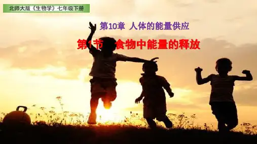 北师大版七年级生物下册第4单元第10章1节食物中能量的释放