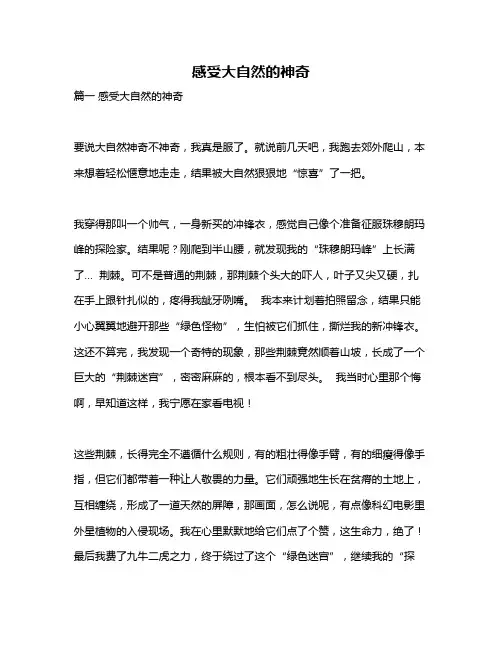 作文《感受大自然的神奇》