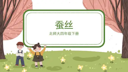 北师大版小学四年级数学下册 《蚕丝》精品课件1