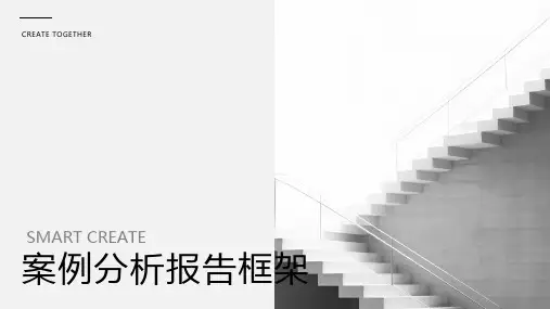 案例分析报告框架