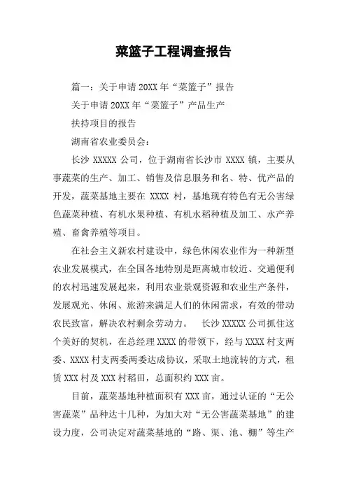 菜篮子工程调查报告