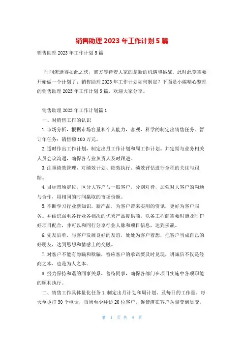 销售助理2023年工作计划5篇