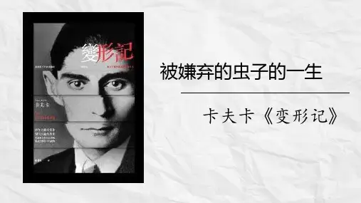 变形记(节选)公开课课件(共19张PPT)