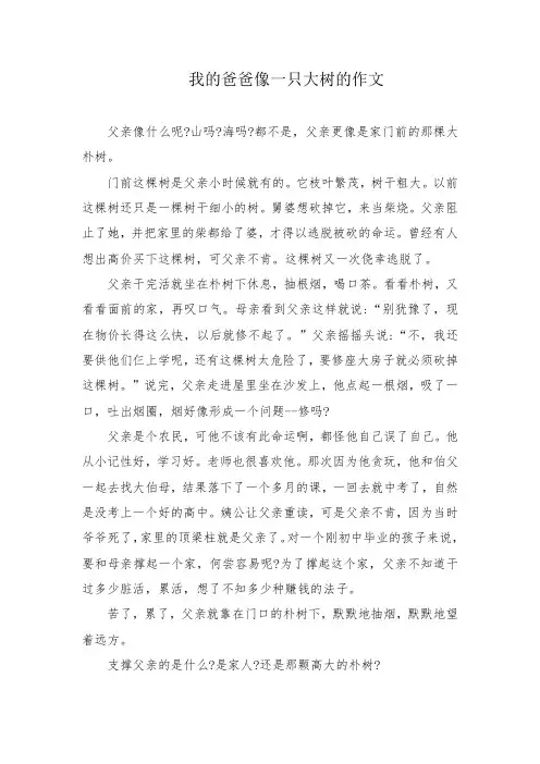 我的爸爸像一只大树的作文