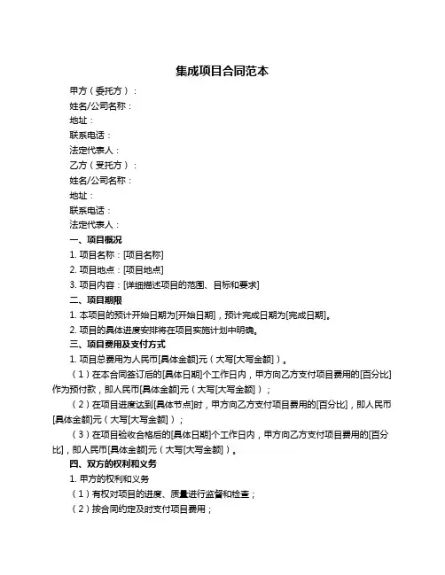 集成项目合同范本