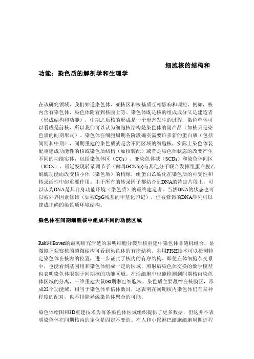 细胞核的结构和功能：染色质的解剖学和生理学