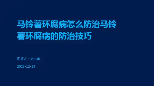 马铃薯环腐病怎么防治马铃薯环腐病的防治技巧