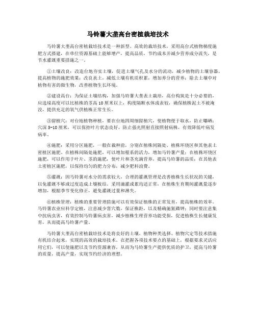 马铃薯大垄高台密植栽培技术