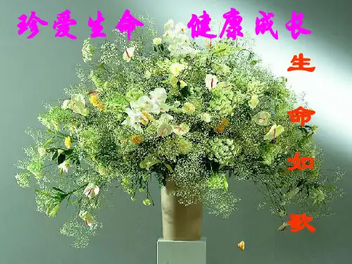 主题班会：珍爱生命,健康成长ppt(生命如歌).ppt
