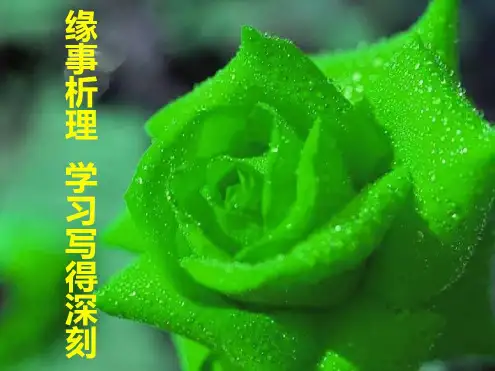 缘事析理学习写得深刻-文档_2022年学习资料