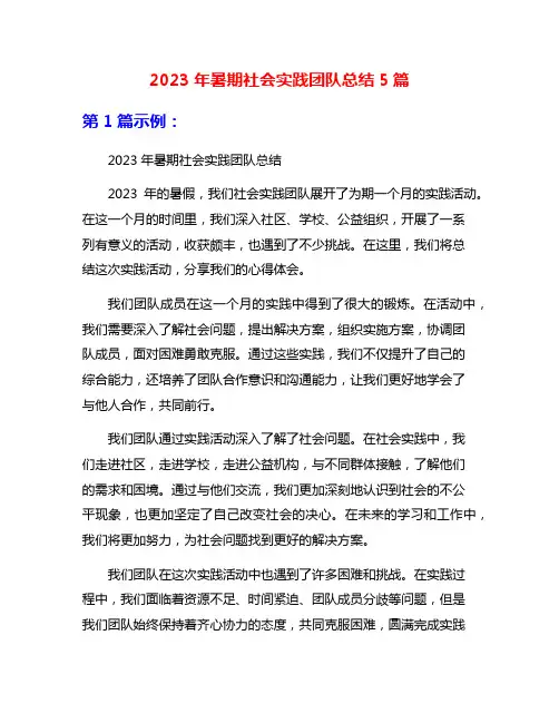 2023年暑期社会实践团队总结5篇