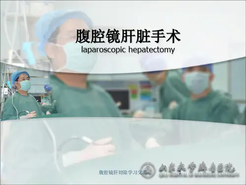 腹腔镜肝切除PPT课件