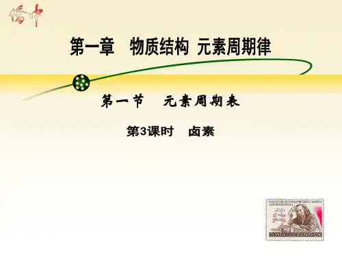 第一节第3课时 卤素