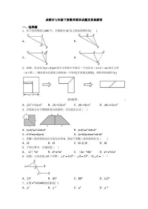 成都市七年级下册数学期末试题及答案解答