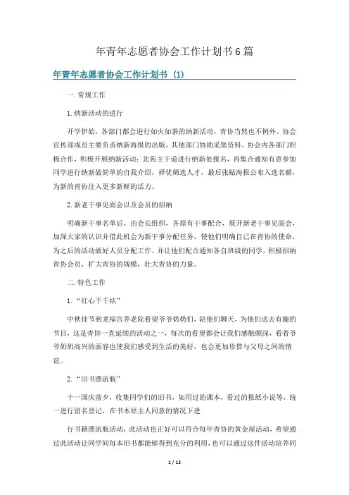 年青年志愿者协会工作计划书6篇