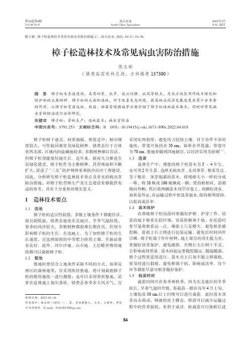 樟子松造林技术及常见病虫害防治措施