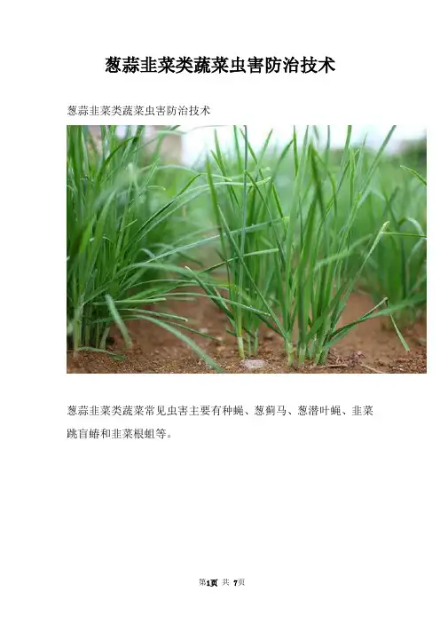 葱蒜韭菜类蔬菜虫害防治技术