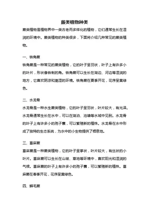 蕨类植物种类