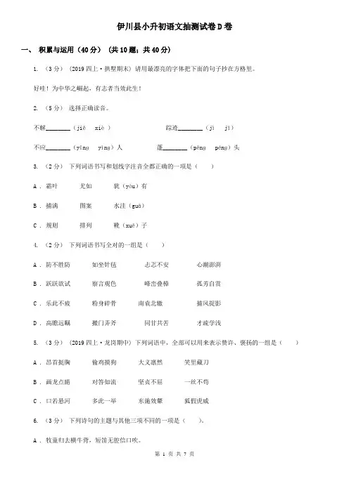 伊川县小升初语文抽测试卷D卷