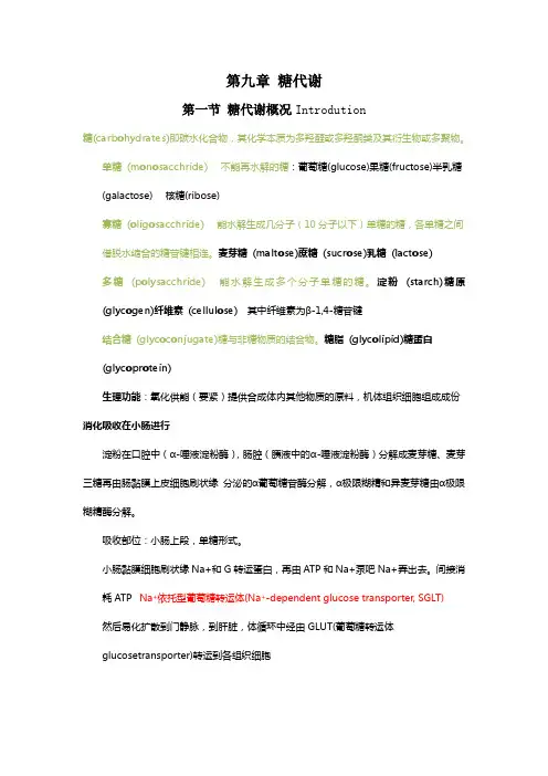 有机化学第九节糖代谢