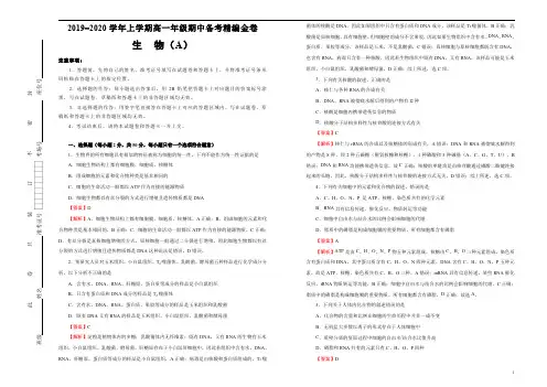 2019-2020学年上学期高一期中备考模拟金卷 生物(A卷) 教师版