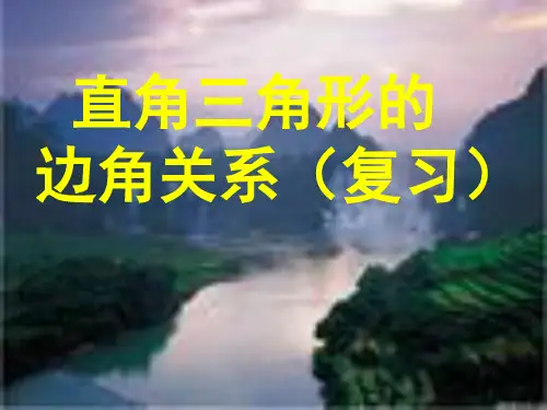 2021年北师大版九年级数学下册第一章《 直角三角形的边角关系》公开课课件