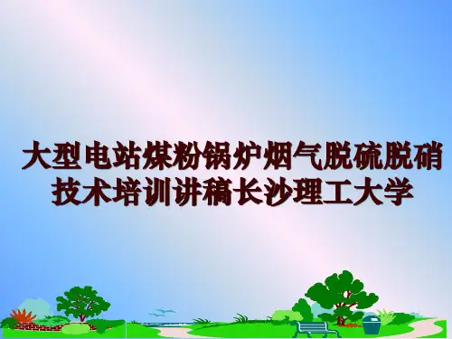 最新大型电站煤粉锅炉烟气脱硫脱硝技术培训讲稿长沙理工大学ppt课件