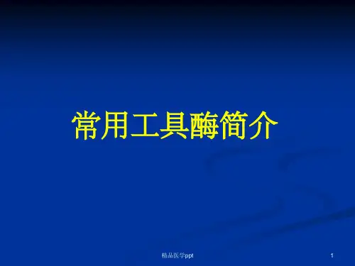 常用分子克隆工具酶简介