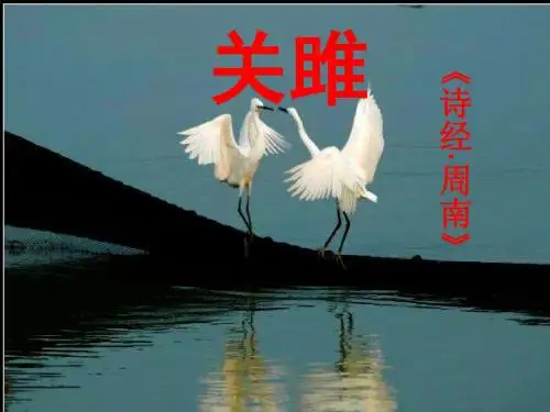 关雎优秀ppt课件