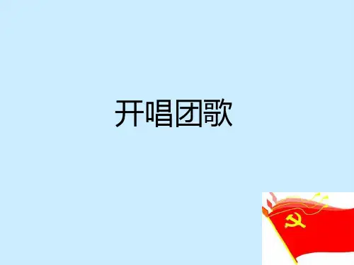 光荣啊,中国共青团