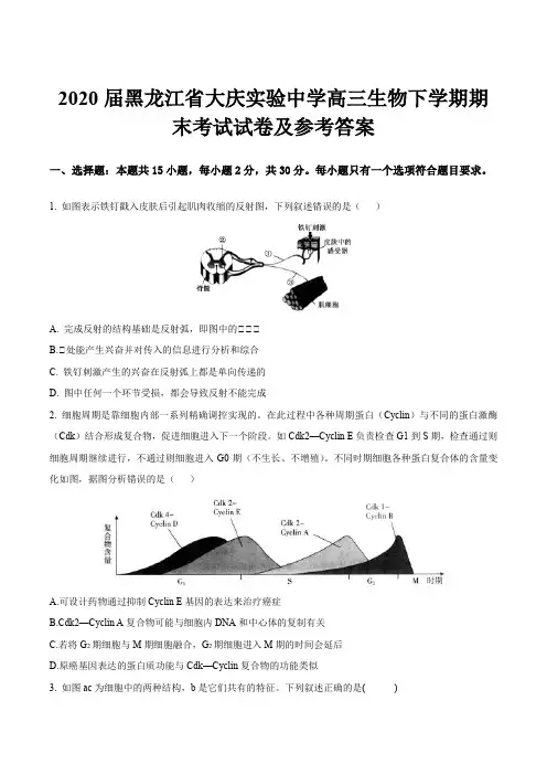 2020届黑龙江省大庆实验中学高三生物下学期期末考试试卷及参考答案