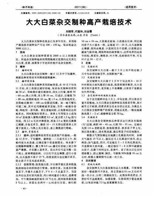 大大白菜杂交制种高产栽培技术