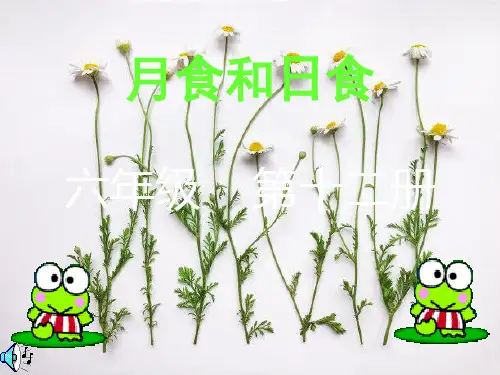 人教版月食和日食ppt教学课件