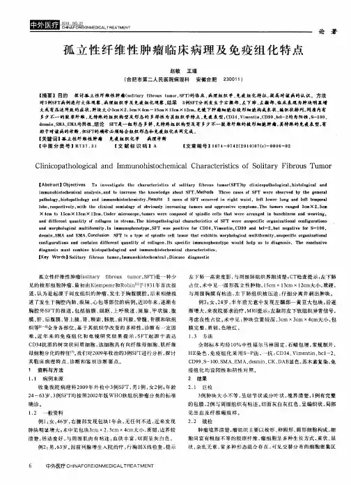 孤立性纤维性肿瘤临床病理及免疫组化特点