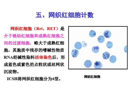 网织红细胞