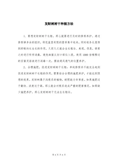 发财树树干种植方法